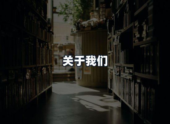 关于我们